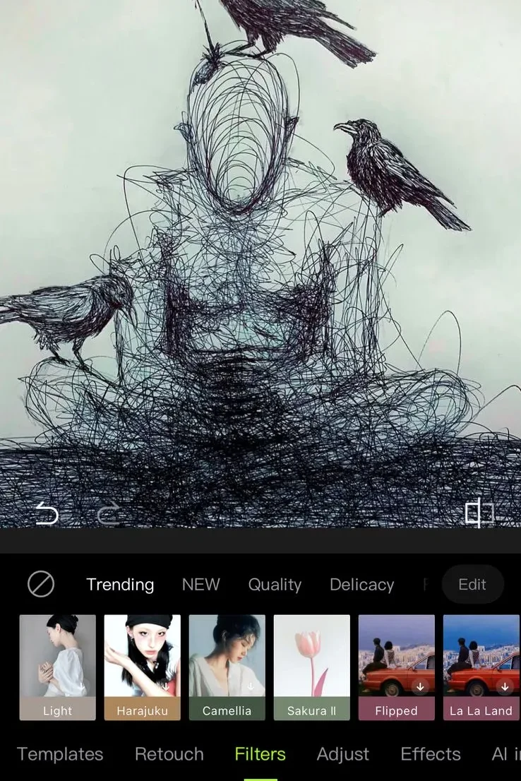 Secure Editing Hypic Apk Mod